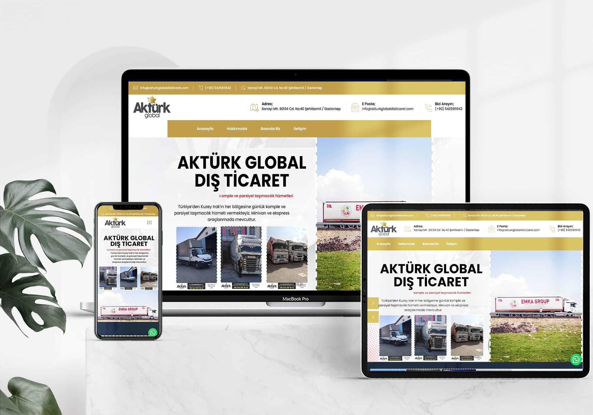 Akturk Global